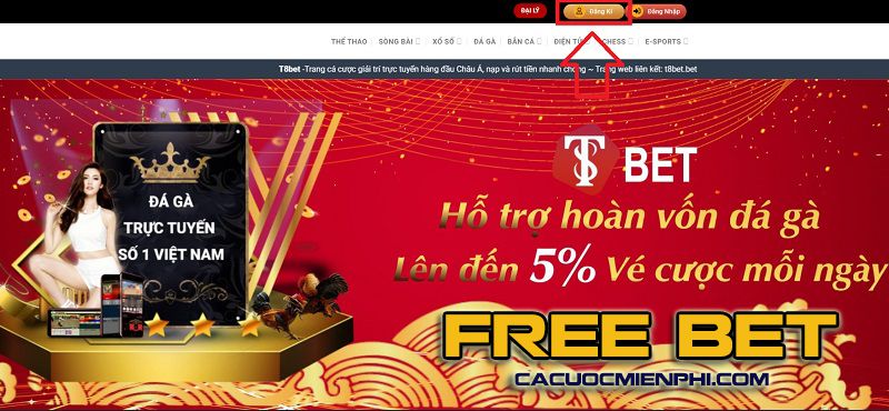 Hướng dẫn nạp và rút tiền dành cho người chơi cấp độ Tf88 - Tf88