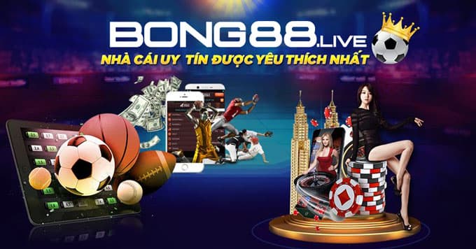 Các chuyên gia có kinh nghiệm gì trong các trận đấu bóng đá cấp độ N88? - N88