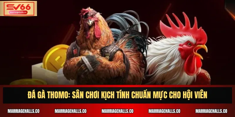Tải xuống ứng dụng Pkvip Bet APK cho Android, iOS và PC - Pkvip