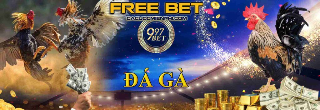 Những ưu điểm của hạng 100Win là gì? - 100Win