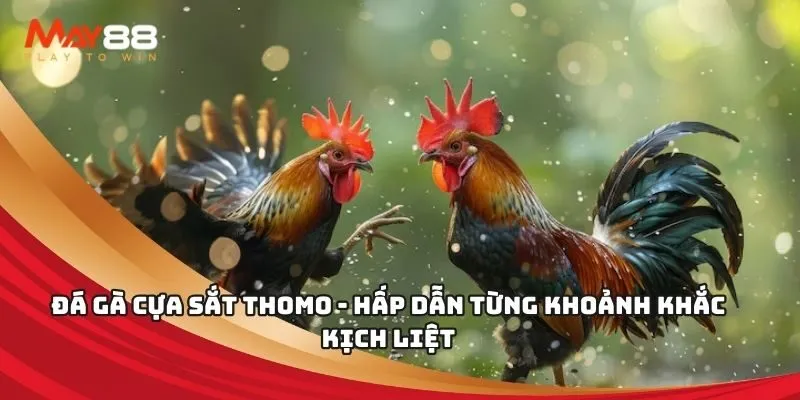 Vui lòng lưu ý những vấn đề sau khi truy cập trang web của Awin68 - Awin68