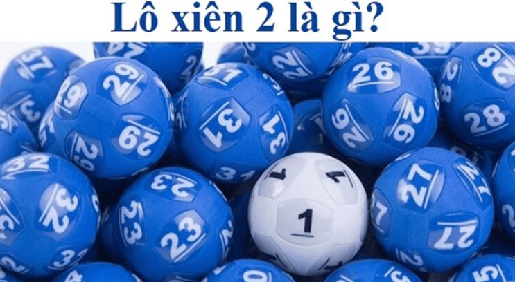 Hãy xem ngay những ưu đãi độc quyền từ nhà bán lẻ trực tuyến uy tín đạt chuẩn Hb88 này! - Hb88