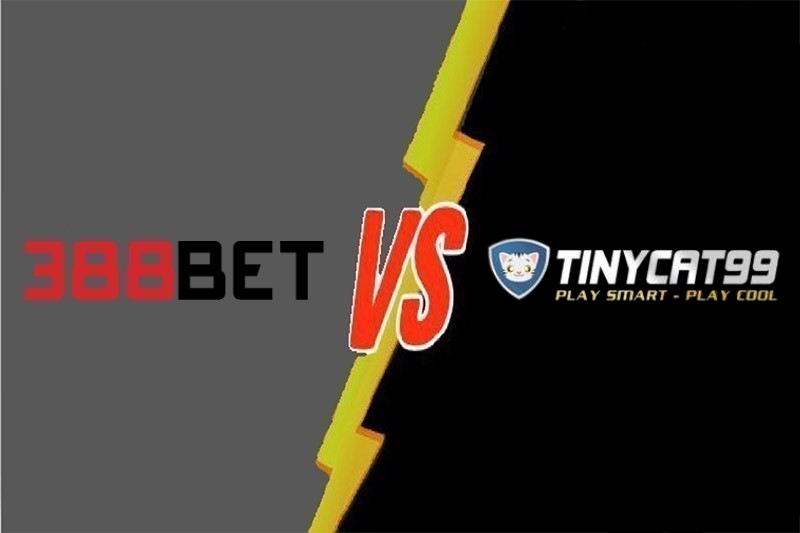 Thông tin về các trò chơi/máy đánh bạc Shbet - Shbet