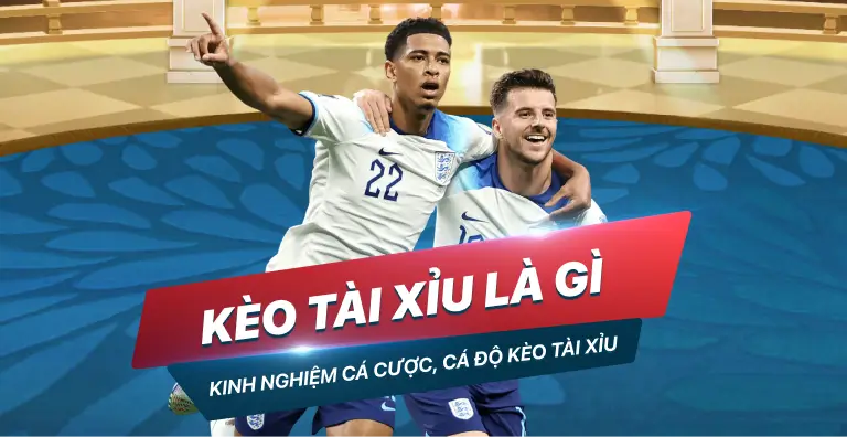 Hỗ trợ Betvip: Hướng dẫn nâng cao về tìm kiếm cạnh tranh - Betvip