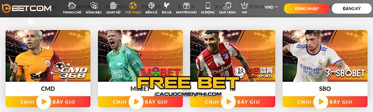 Vn68 có chương trình giảm giá đặc biệt - Vn68
