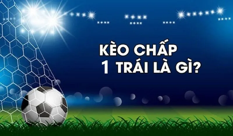 Điều khoản và điều kiện của Giải thưởng C54 - Hướng dẫn đầy đủ - C54