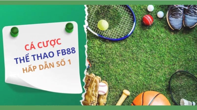 Hiện tại 66Club hỗ trợ bao nhiêu ngôn ngữ? - 66Club