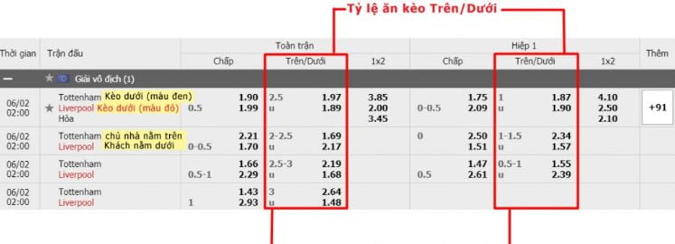 Vậy, chính xác thì một sự kiện thể thao cấp độ B88 là gì? - B88
