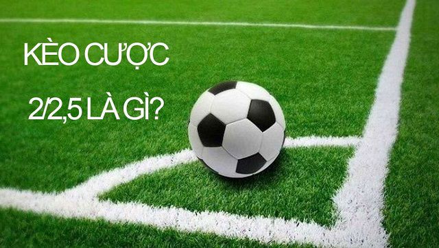Hướng dẫn cách tham gia giao dịch bằng cách sử dụng Sao789 - Sao789