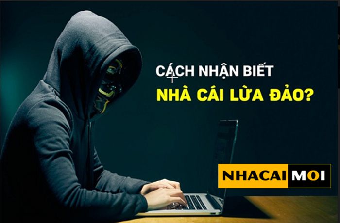 Người chơi mới sẽ chơi trước - Zbet68