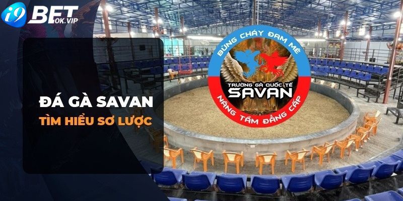 Câu hỏi thường gặp về dịch vụ trực tuyến của Laucuagame - Laucuagame