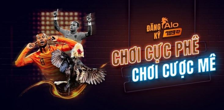 Vb68 (Số lượng lớn các hệ thống cá cược trên trang web) - Vb68