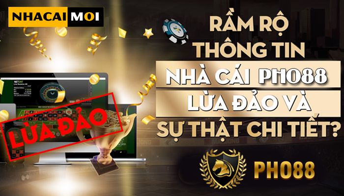 Đạt được cấp độ Rwin cho phép bạn tham gia các cuộc thi ở mọi lĩnh vực - Rwin
