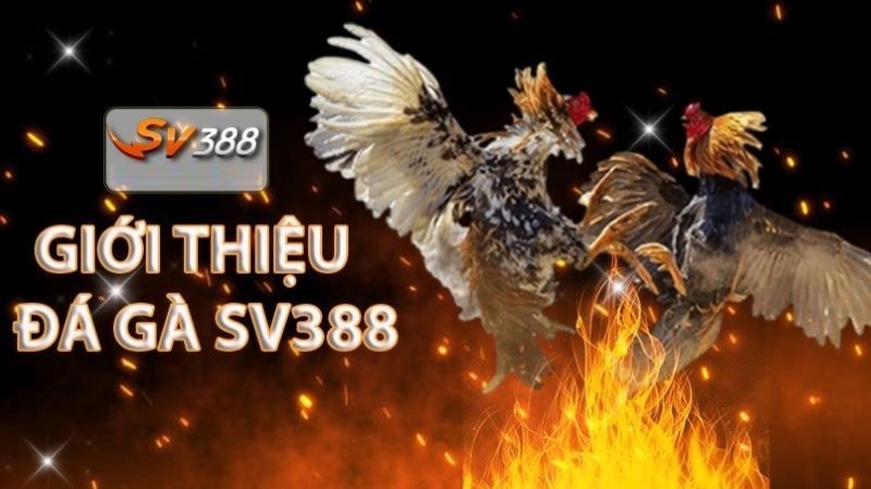 Một số ý kiến của người chơi về 777Loc - 777Loc